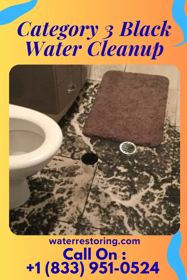 Category 3 Black Water Cleanup in Hawthorne, CA